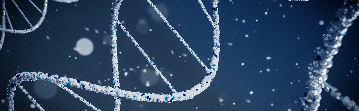 Insights from Practicing at a Small Genetics Center