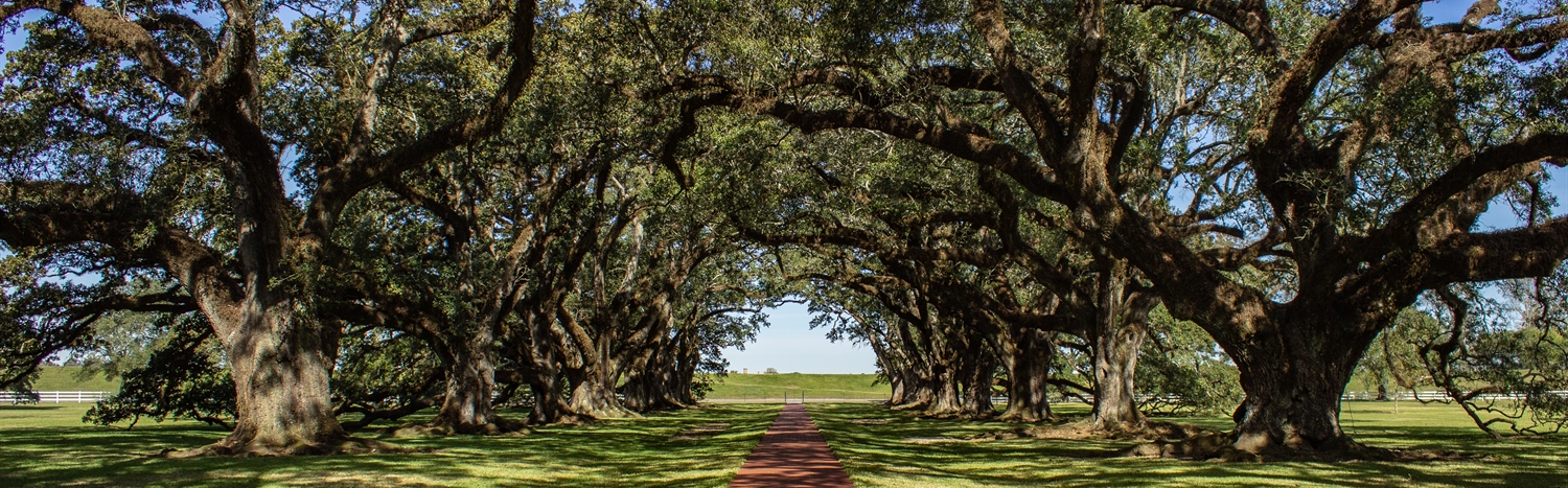 Genetics ‘Down the Bayou’ – Genetic Counseling Considerations for Cajun Populations in Southern Louisiana