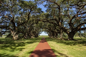 Genetics ‘Down the Bayou’ – Genetic Counseling Considerations for Cajun Populations in Southern Louisiana