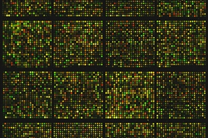 Designing Hereditary Cancer Tests for Maximum Clinical Utility