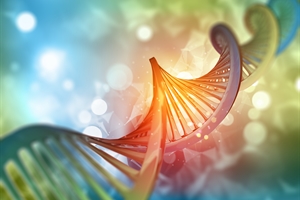 AI/ML in Genomics and Genetic Counseling: Insights From NSGC's Genomic Technologies SIG AI/ML Subcommittee