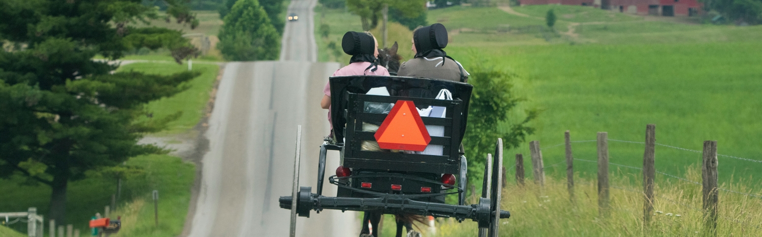 Bridging Gaps: A Genetic Counseling Student’s Experiences Working in Rural Communities