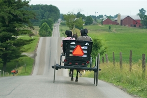 Bridging Gaps: A Genetic Counseling Student’s Experiences Working in Rural Communities