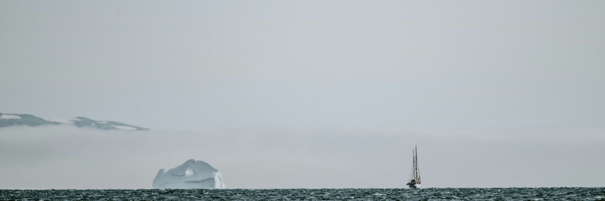 How Whole Genome Sequencing and Transcriptomics Are Transforming the Diagnostic Odyssey