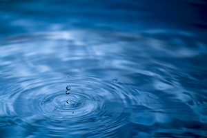 Empathy in Action: The Role of Genetic Counselors in Addressing Suicidal Ideation