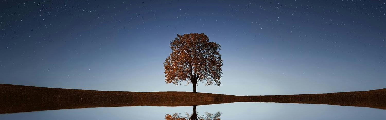 December President's Message: Reflections on 2025