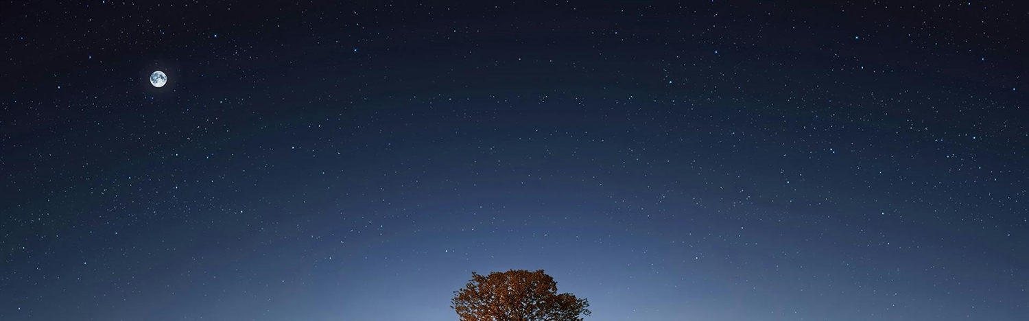 December President's Message: Reflections on 2025