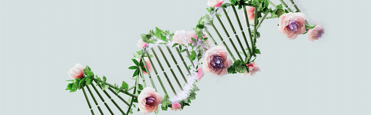 Cancer Risk in Context: Integrative Care in Cancer Genetic Counseling