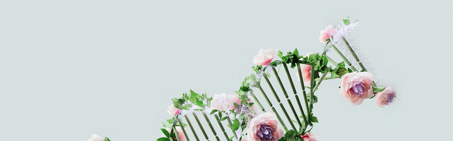 Cancer Risk in Context: Integrative Care in Cancer Genetic Counseling