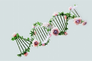 Cancer Risk in Context: Integrative Care in Cancer Genetic Counseling