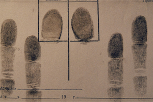 Why Genetic Counselors Should Be Involved In Forensics
