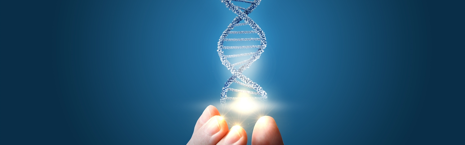 NSGC Responds to Reports of Children Born Following Germline Gene Editing
