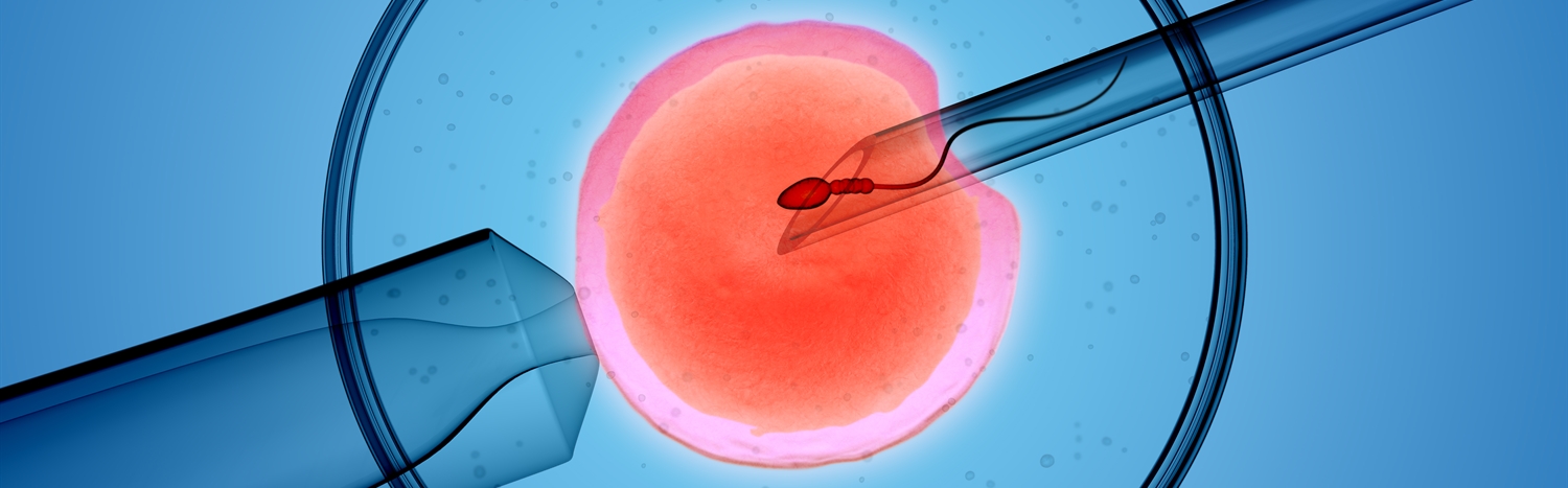 A Beautiful Surprise: One Genetic Counselor’s Journey into Donor Conception