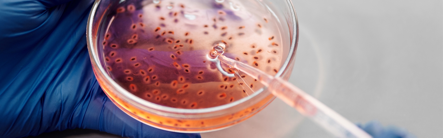 What’s in a Negative? Public Engagement and Understanding of Negative Genetic Testing Results